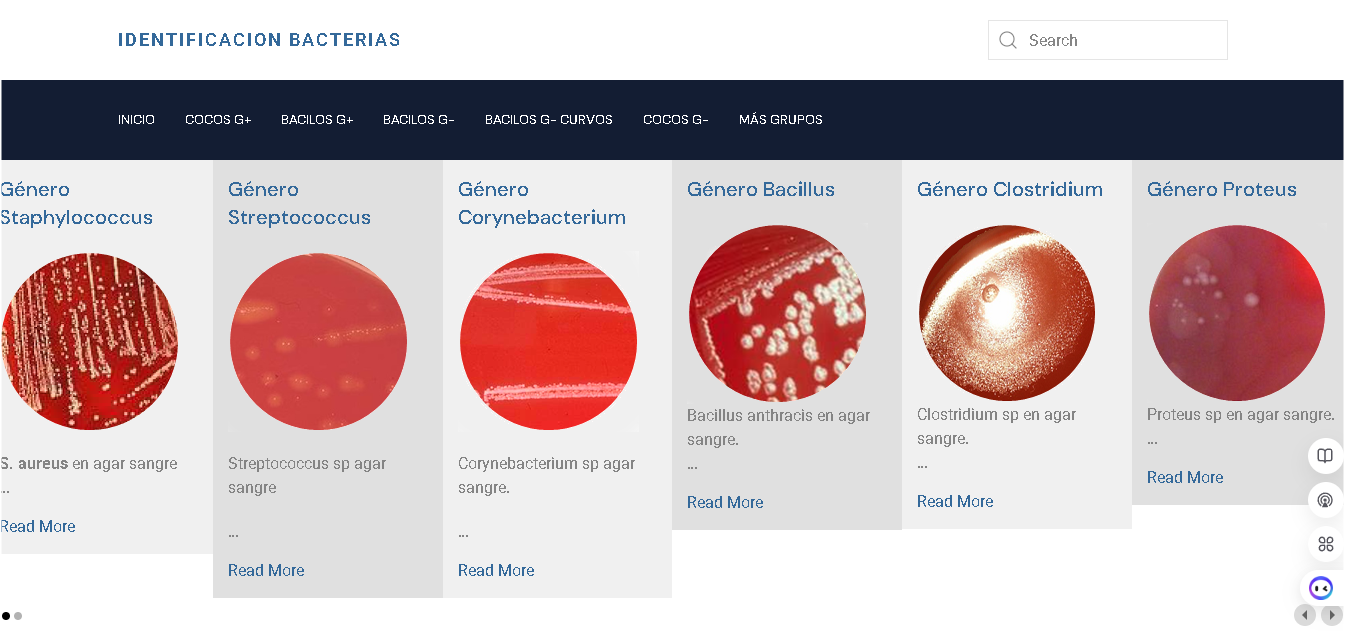 bacterias.png